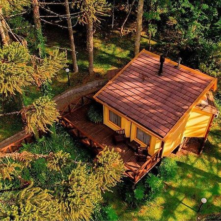 Villa Flor Ecoresort Nova Petropolis Zewnętrze zdjęcie
