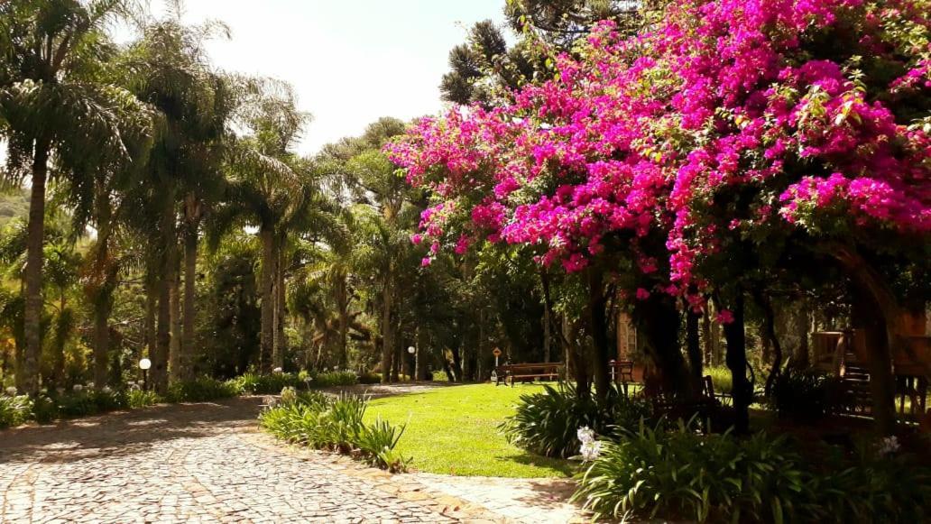 Villa Flor Ecoresort Nova Petropolis Zewnętrze zdjęcie